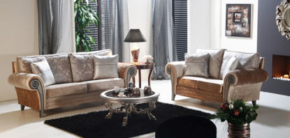 Εικόνα της Σαλόνι ELISA