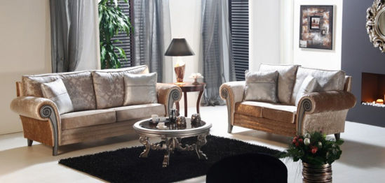 Εικόνα της Σαλόνι ELISA